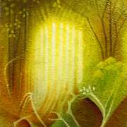 Inside_peterborough_cathedral_gardens_card