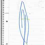 Blue_bloom_small_card