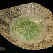Green_star_card