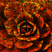 Crackedflowerredsmall_card