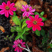 Impressionist_flowers_ny2006_card
