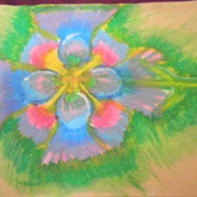 P1020510_card