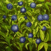 R_blueberries_card