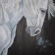 White_horse1_card