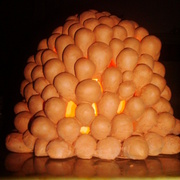 Dsc05039_card