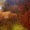 River_21__jro_ny2006_thumb