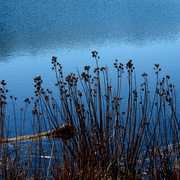Img_0752-1_card