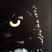 Img_0731_card