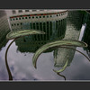 Grey_cw_f1_thumb