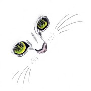 Catface_card