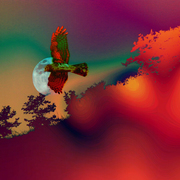 Soaringhigh_copy_card