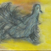 Desert_pheasant_card