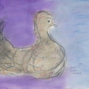 Morning_desert_dove_card