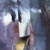 Perception_thumb