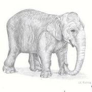 307190_205395999529851_135289003207218_478600_69495259_n_-_kopia_card