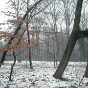Dscn9213_card