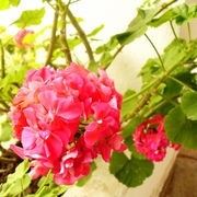 Reveillon_2011_018_card
