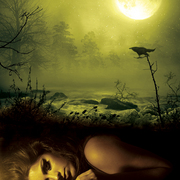 Hide_away_card