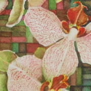 2_orchid_card