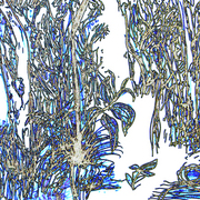 Bl_12_card