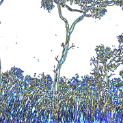 Bl_11_card