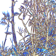 Bl_1_card