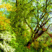 Im000154_korr_-_impressionistisch_2-172_-_dok_35__card