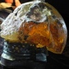 Scull42_thumb