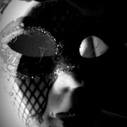 Spiderweb_card