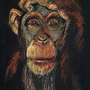 Chimpa_card
