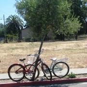Img_7194_card
