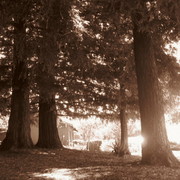 Img_7244_card