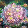 Daisies_gone_wild_-_a_-_1-8-12__thumb