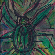 Tarantola_card