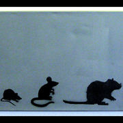 Evolution_of_the_rat_card