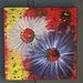 Flowers_colliding_in_space_square