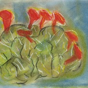 P1010054_card