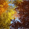 B_dsc06638_thumb