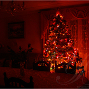 B_dsc06939_card
