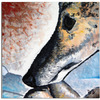 Alex-cube_painting__18x18-acrylic-2008__thumb