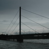 Dsc_0013_thumb