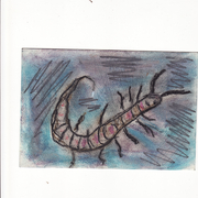Happy_bug_card