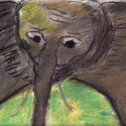 The_elephant_card