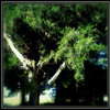 ______3918-1_thumb