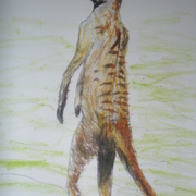 Sam_1240__2__card