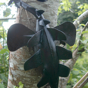 Trepadeira_card
