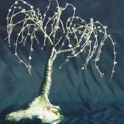 Willow_on_glass_card