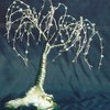 Willow_on_glass_thumb