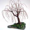 Willow_on_slate_up_thumb