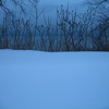 Great_lake_o_0469_thumb